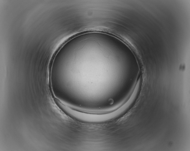 X0000111200940200907151410