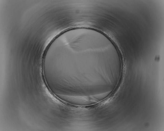 X0000111200941200907151410