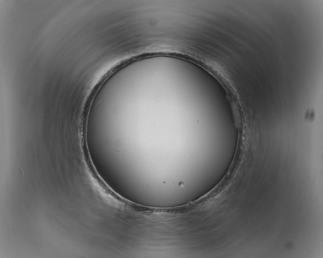 X0000111200942200907151410