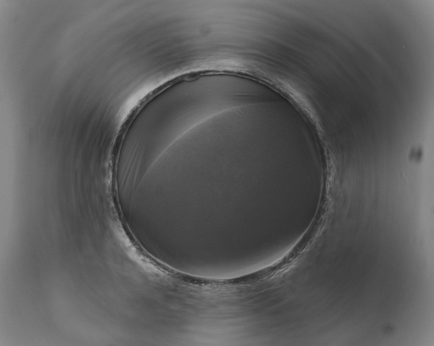 X0000111200944200907151410