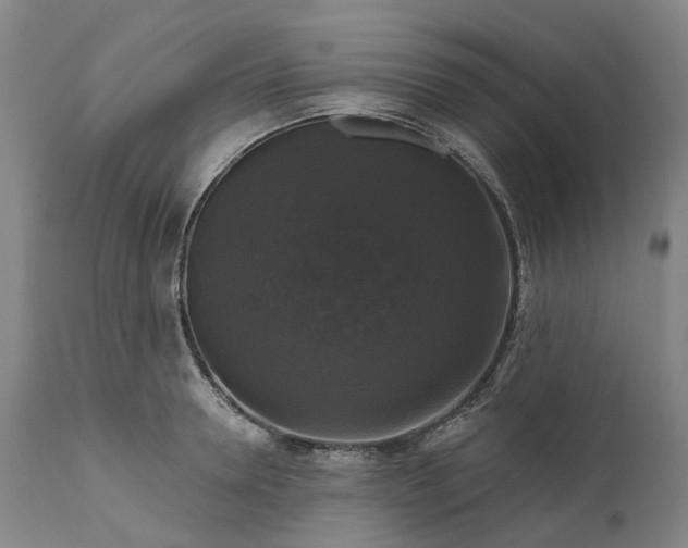 X0000111200946200907151410