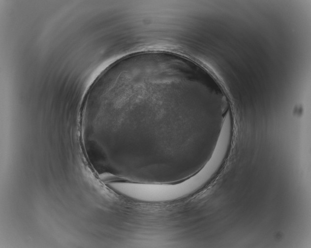 X0000111200948200907151410