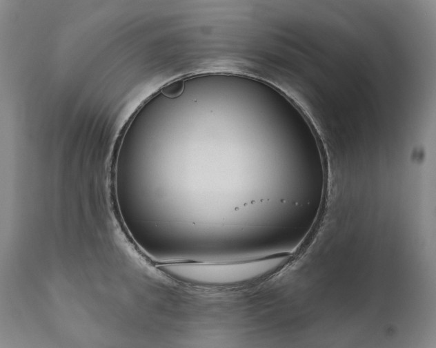 X0000111200949200907151410