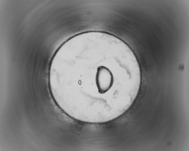 X0000111200950200907151410