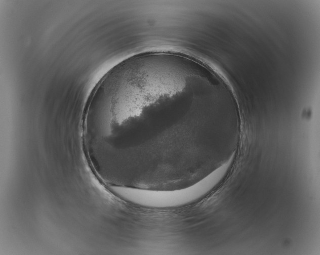 X0000111200951200907151410