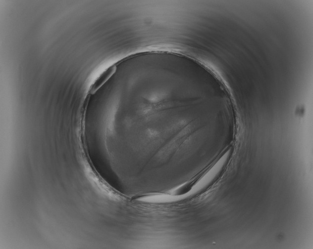 X0000111200952200907151410