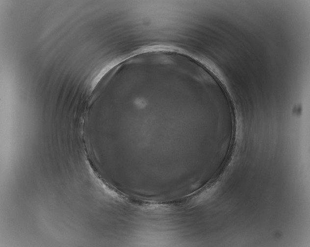 X0000111200953200907151410