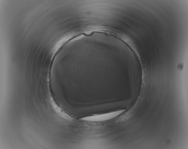 X0000111200954200907151410