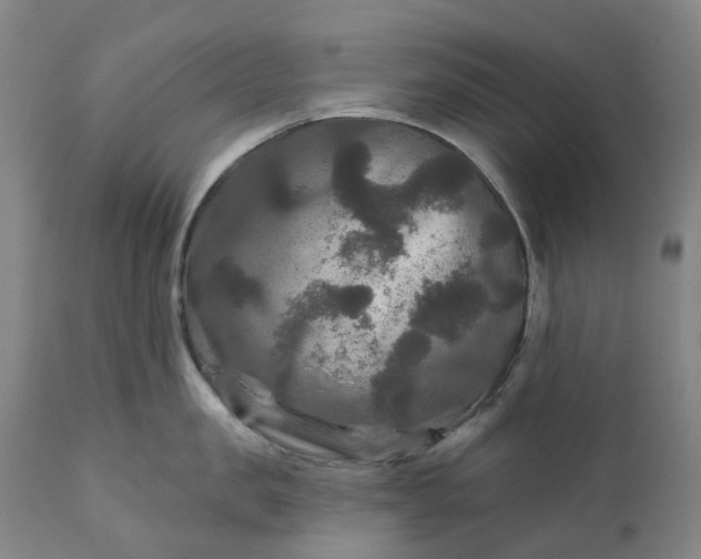 X0000111200957200907151410