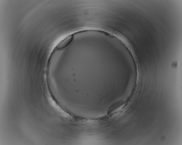 X0000111200958200907151410