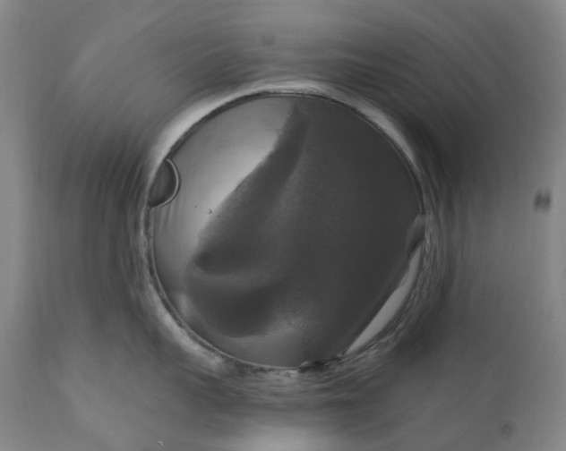 X0000111200959200907151410