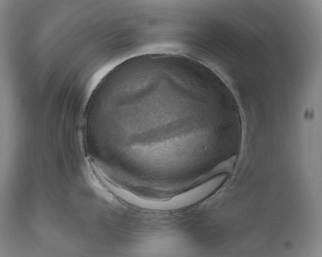 X0000111200960200907151410