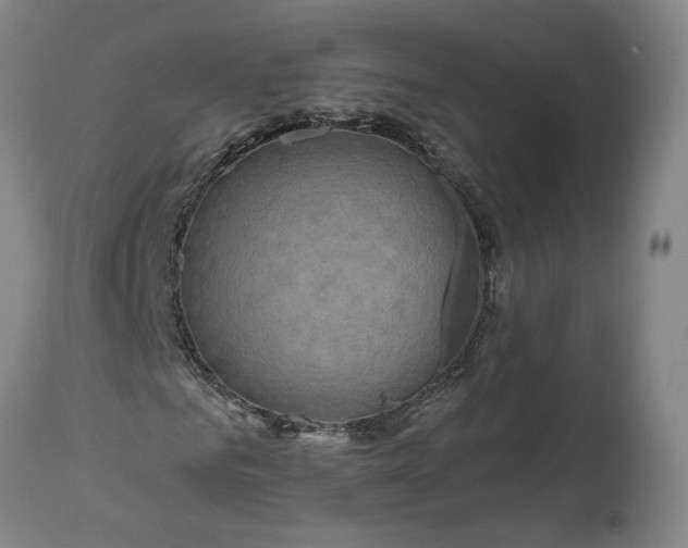 X0000111200961200907151410