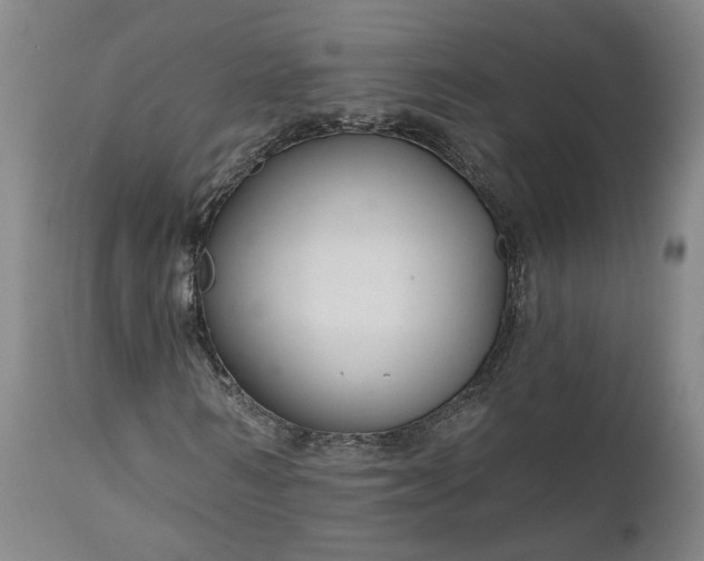 X0000111200962200907151410