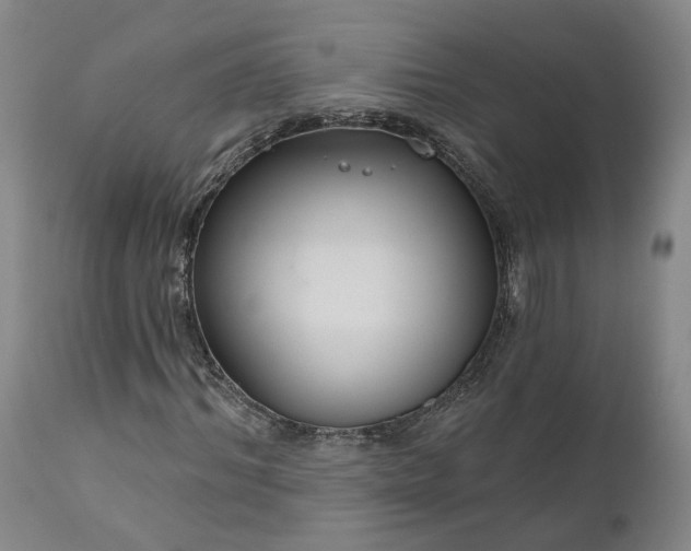 X0000111200964200907151410