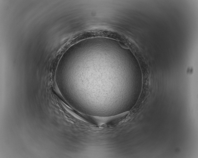 X0000111200965200907151410