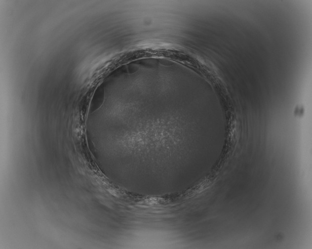 X0000111200966200907151410