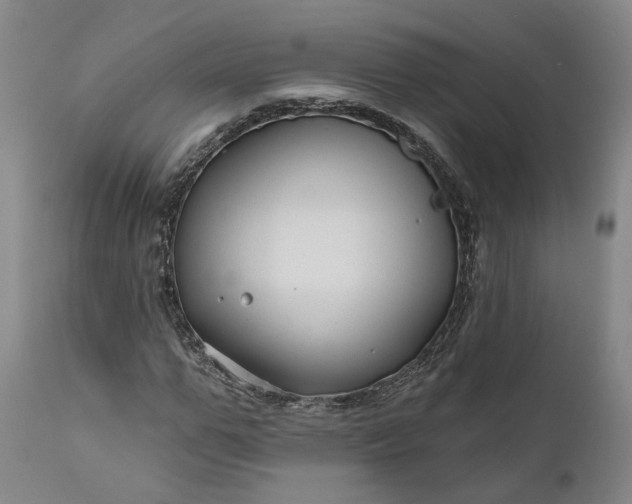 X0000111200967200907151410