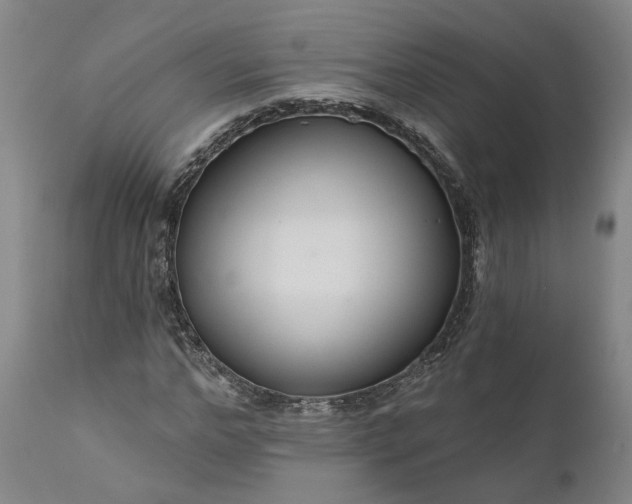 X0000111200968200907151410