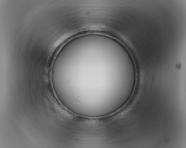 X0000111200970200907151410