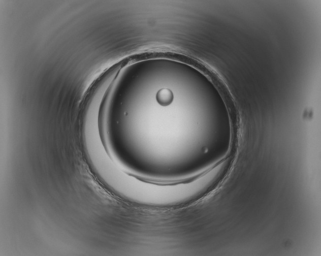 X0000111200973200907151410