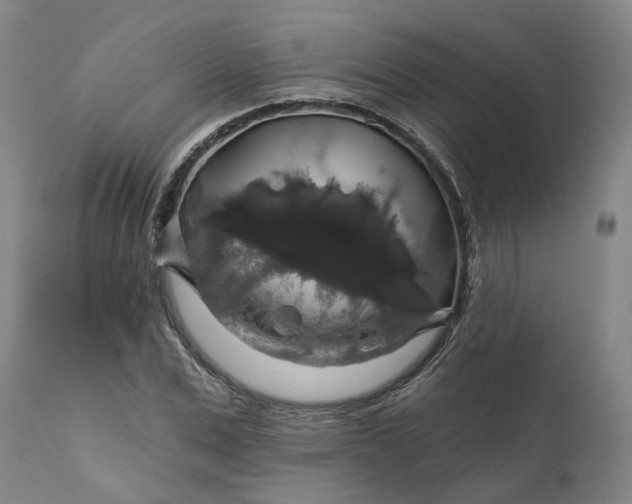 X0000111200975200907151410