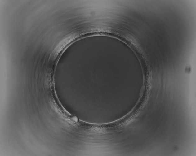 X0000111200977200907151410