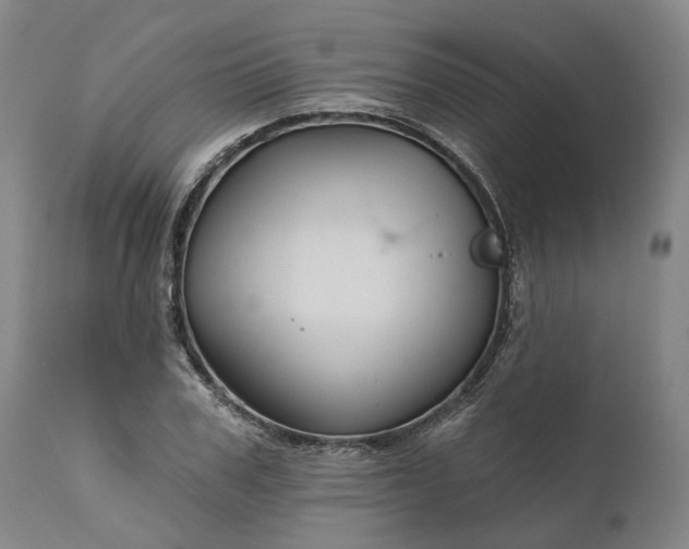 X0000111200979200907151410