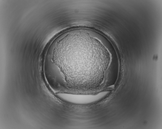 X0000111200983200907151410