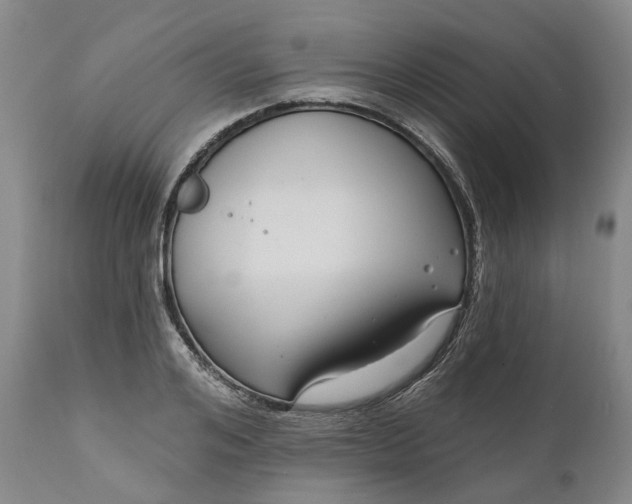 X0000111200984200907151410