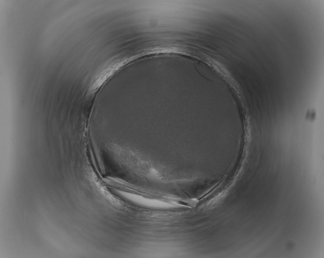 X0000111200985200907151410