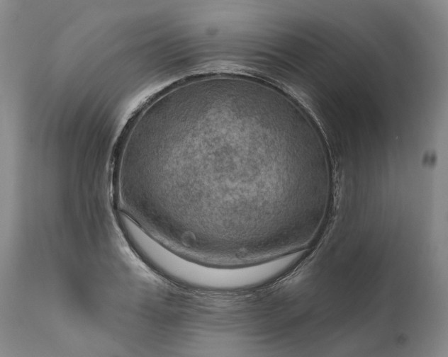 X0000111200987200907151409