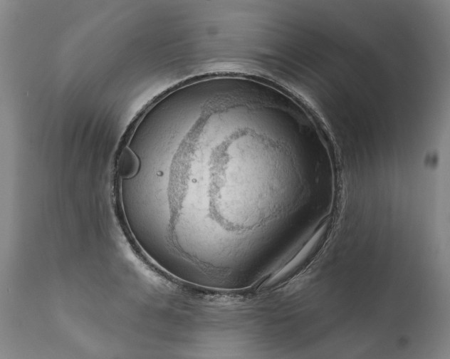 X0000111200991200907151409