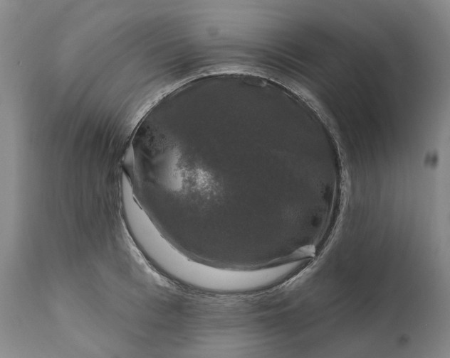 X0000111200993200907151409