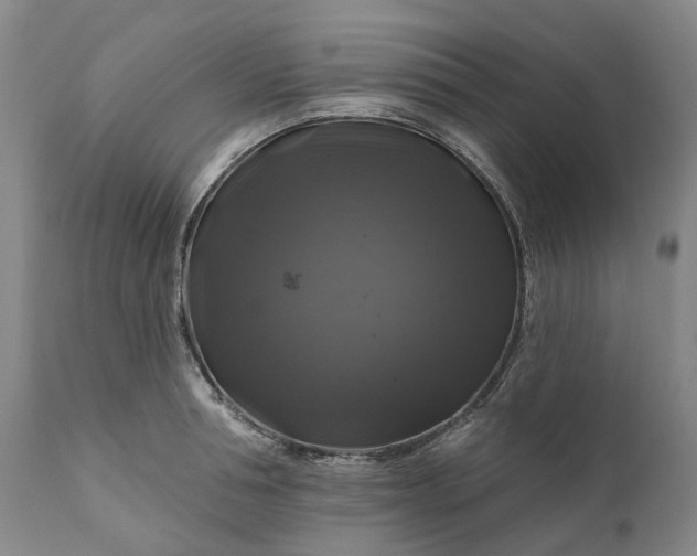 X0000111200994200907151409