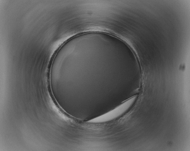 X0000111200995200907151409