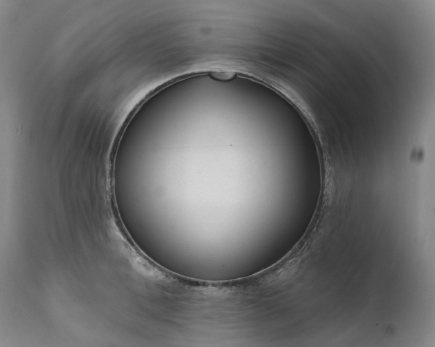 X0000111200996200907151409