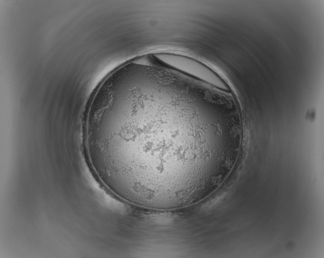 X0000111200999200907151409