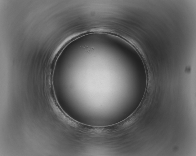 X0000111201000200907151409