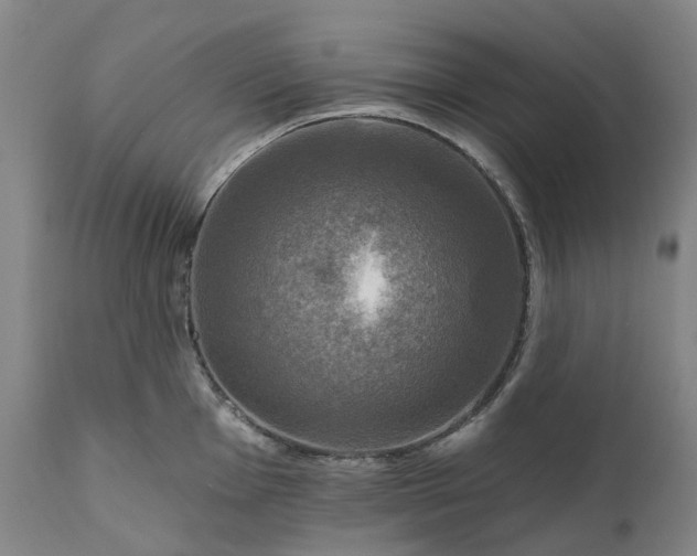 X0000111201001200907151409