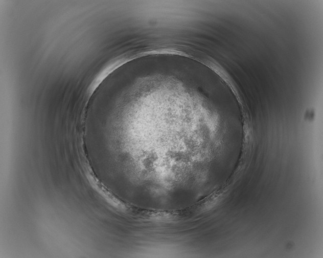 X0000111201002200907151409