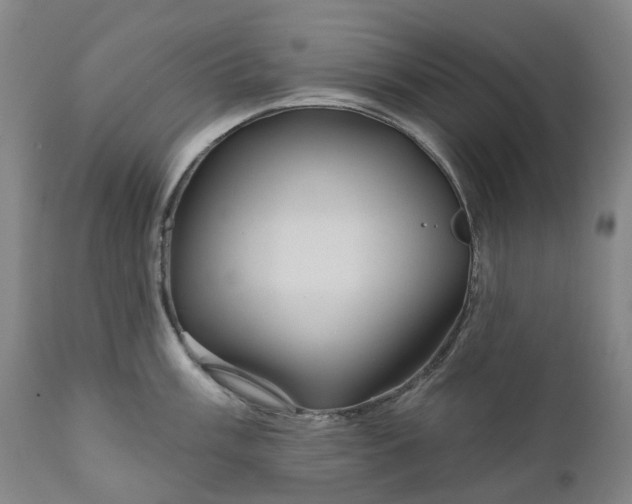 X0000111201003200907151409