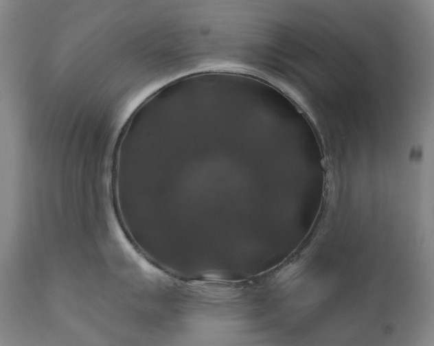 X0000111201007200907151409