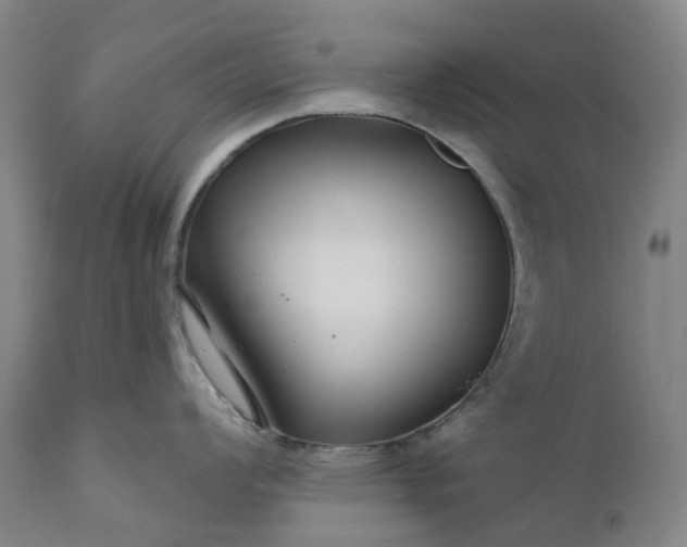 X0000111201008200907151409