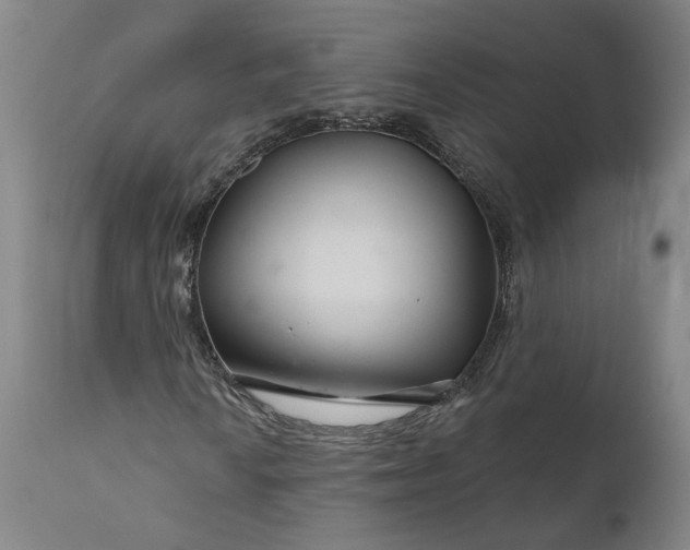 X0000111201010200907151408