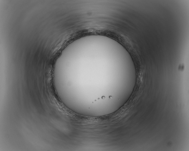 X0000111201012200907151408