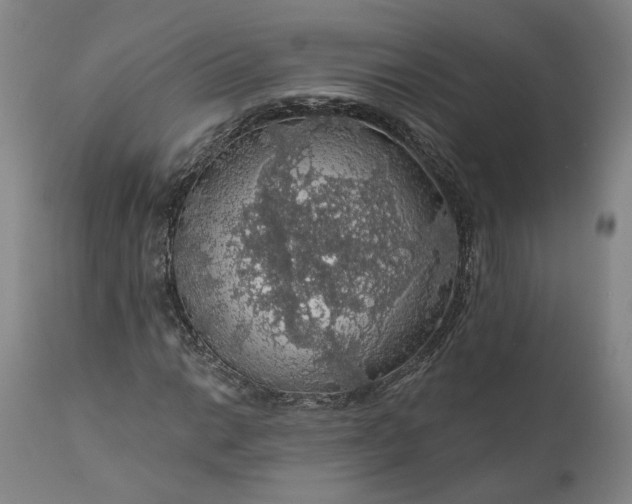 X0000111201014200907151408