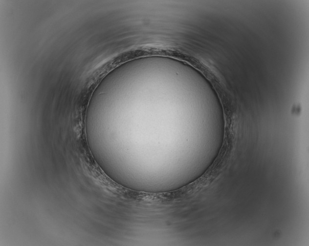 X0000111201015200907151408