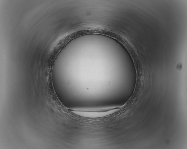 X0000111201016200907151408