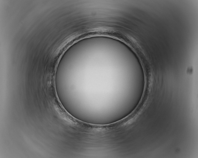 X0000111201017200907151408